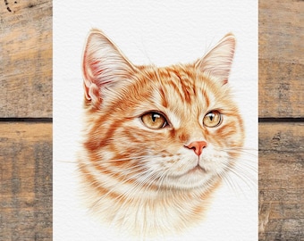 Custom Pet Portrait from Photo - Pencil Style Cat Portrait