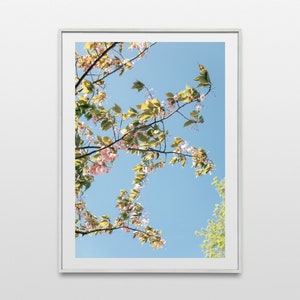 Cherry Blossoms In The Sky, London Flower Photography, Digital Download Fine Art Photography, Travel Photography, London Prints, Wall Art