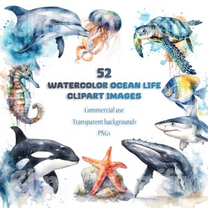 Watercolor sea creatures clipart bundle watercolor ocean clip art sea life transparent backgrounds commercial use digital download prints