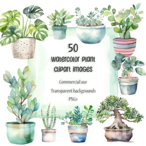 Watercolor potted plant clipart bundle succulent clipart indoor plants clip art commercial use transparent backgrounds digital download