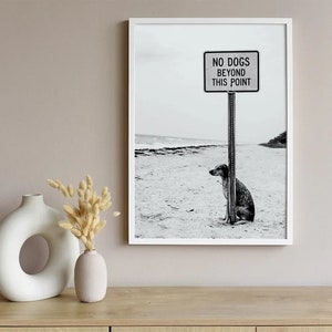 no dogs beyond this point sign canvas poster print pet dog beach party sea ocean sad cute fashion cat pussycat summer time pool sunny sun