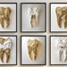 Dental Wall Art for Dental Office Wall Decor for Dentist Gift Colorful ...