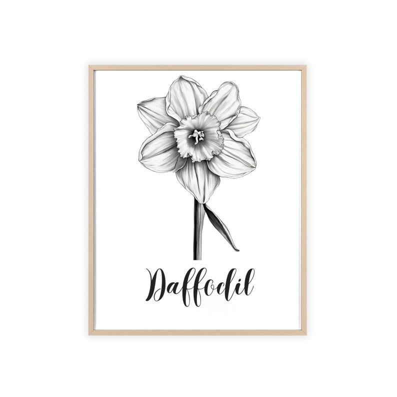 March Daffodil Birth Flower Wall Art, Light Wood Frame Poster Print