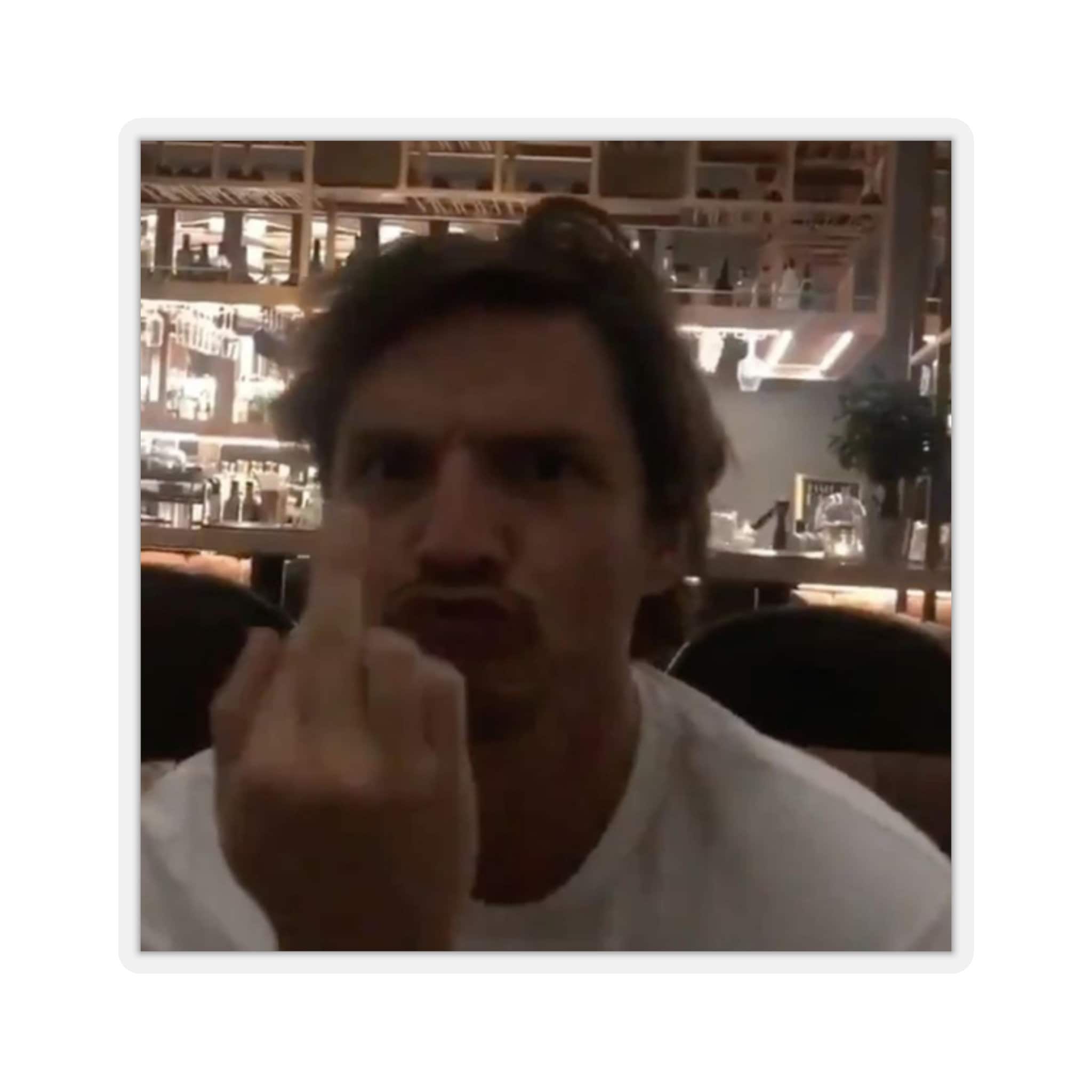 Pedro Pascal Middle Finger Sticker