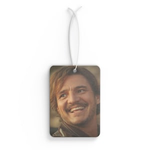 Car Air Freshener - Pedro Pascal Funny Face Meme, Pedro Pascal Car Freshener, Comedy Actor Aroma, Car Accessory, Gift for Movie Fans