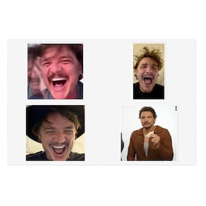 Hoja de pegatinas Silly Pedro Pascal