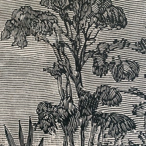 May include: Black and white line art print of a tropical scene with palm trees and other foliage.