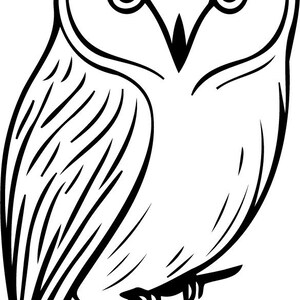 May include: A black and white line drawing of an owl with large eyes. The owl is facing forward and has a heart-shaped face.