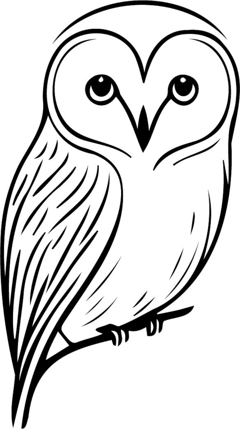May include: A black and white line drawing of an owl with large eyes. The owl is facing forward and has a heart-shaped face.