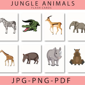 16 cartões flash ANIMAIS DA SELVA, cartões Montessori, cartões educacionais, cartões para impressão, recursos envolventes de aprendizagem pré-escolar, download digital