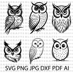 May include: Six black and white owl illustrations. The owls are in various poses, including sitting, standing, and flying. The illustrations are in a simple, minimalist style.