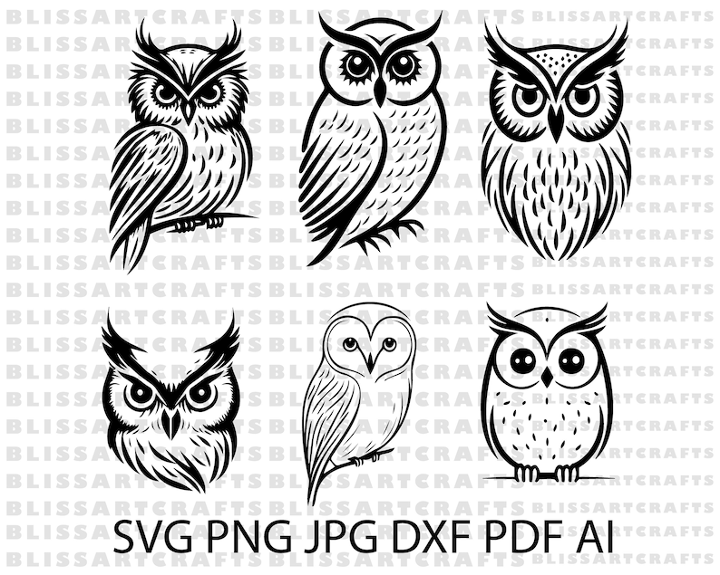 May include: Six black and white owl illustrations. The owls are in various poses, including sitting, standing, and flying. The illustrations are in a simple, minimalist style.