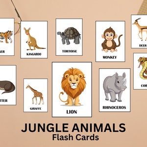 16 JUNGLE ANIMALS Flash Cards, Montessori Cards, Educational Cards ...