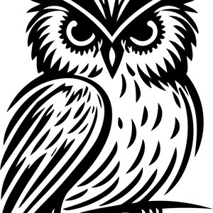 May include: Black and white illustration of an owl with large, round eyes and detailed feathers. The owl is perched on a branch with its wings folded.