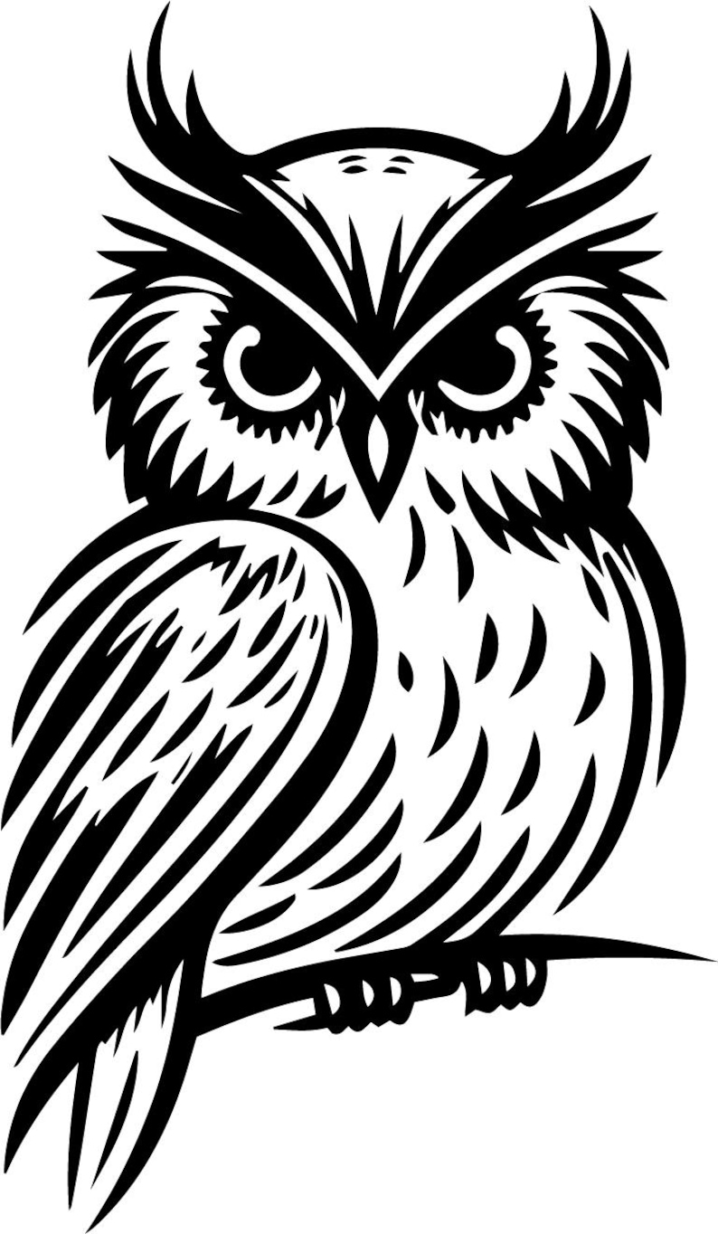 May include: Black and white illustration of an owl with large, round eyes and detailed feathers. The owl is perched on a branch with its wings folded.