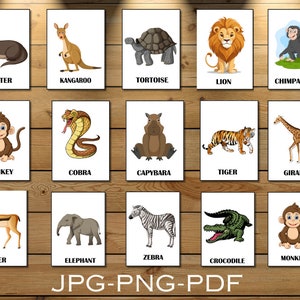 16 JUNGLE ANIMALS Flash Cards, Montessori Cards, Educational Cards ...