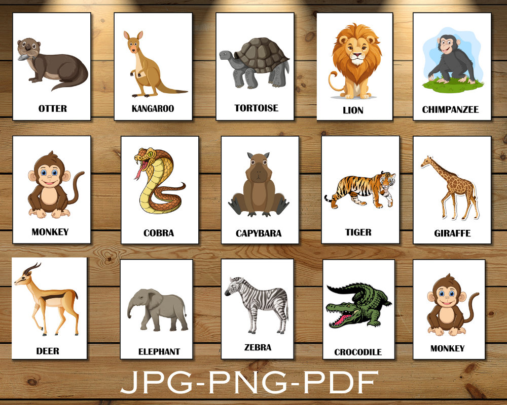 16 JUNGLE ANIMALS Flash Cards, Montessori Cards, Educational Cards, Printable Cards Engaging
