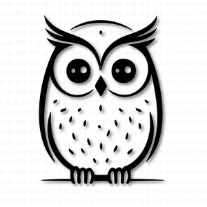 May include: Black and white line art illustration of an owl with large round eyes. The owl is perched on a branch.