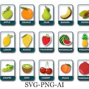 Fruit Flash Cards Bundle - 15 Fruits with SVG, PNG, Ai | Montessori flashcards | Pre-School Cards | Educational Printable Cards
