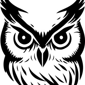 May include: Black and white illustration of an owl's face with large, round eyes. The owl's feathers are detailed and the image is stylized.