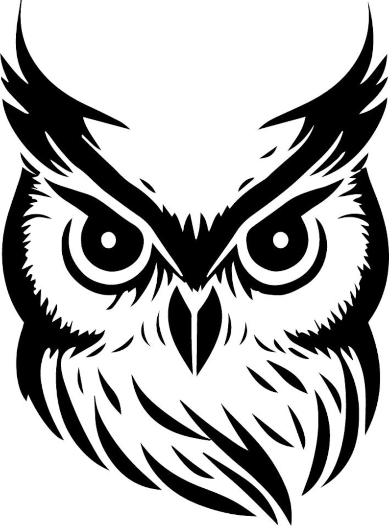 May include: Black and white illustration of an owl's face with large, round eyes. The owl's feathers are detailed and the image is stylized.
