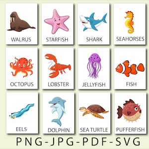 ANIMAUX DE LA MER, animaux marins Cartes Montessori Cartes Flash Cartes Flash imprimables Cartes PDF modifiables Cartes animaux en téléchargement numérique pour les enfants d'âge préscolaire PNG