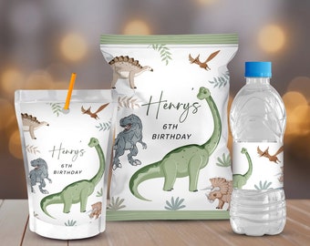 Dinosaur Birthday Party Kit, Printable Chip Bag, Water Bottle, CapriSun Labels (Digital Download)
