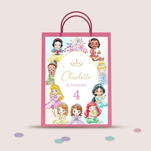 Princess Goodie Bags, Princess Candy Bags, Princess Party Favor Bags, Princess Birthday Party, Princess Custom Goodie Bags, B665