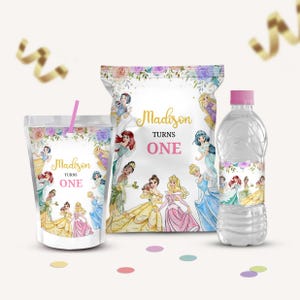 Pack fête d'anniversaire princesse, cadeau princesse, paquet fête princesse, ensemble anniversaire princesse, thème princesse, toile modifiable, B301