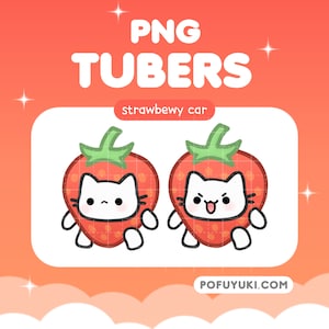PNGTuber Strawberry Cat for Twitch & Youtube Streaming, Meme Cat Tuber, Funny and Sassy, Simple Talking Fruit Kitty Model, Includes 16 PNGs