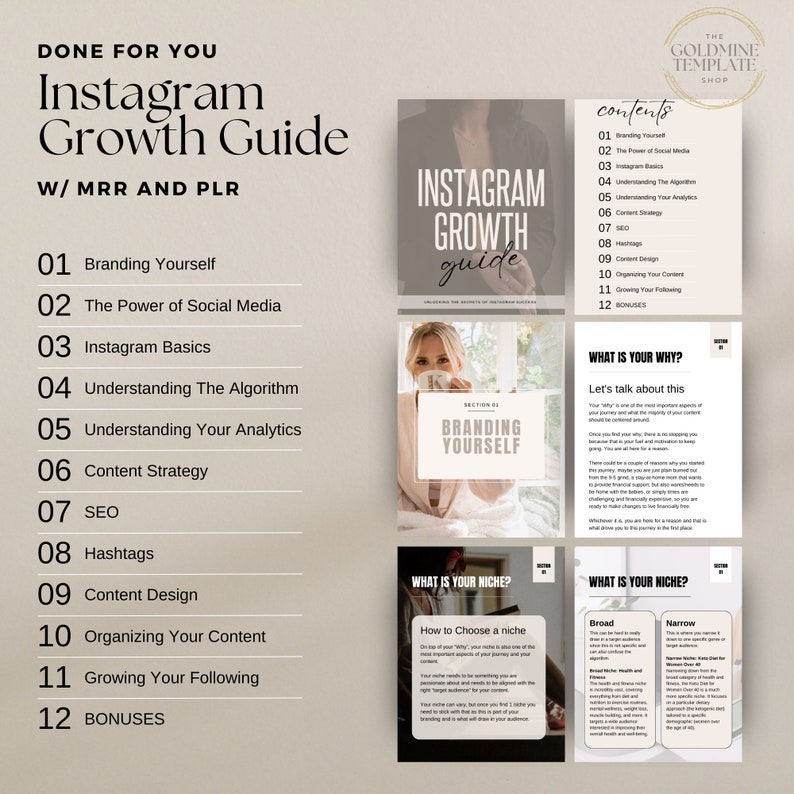 Instagram Growth Guide with Master Resell Rights, Instagram Marketing Strategies Guide, Instagram For Business Owners,Digital Marketing, DFY image 2