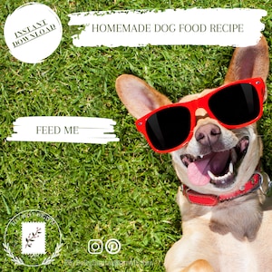 Wholesome Nutritious Dog Food Recipe, Balanced Nutritious Homemade Meals for Your Furry Friend&#39;s Health and Happiness