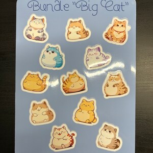 Autocollants « Bundle Big Cat »