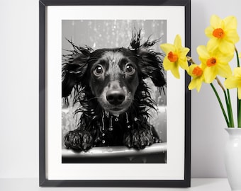 Bathroom Printable Wall Art (Dachsund Art) | 6 Bathroom Pictures for the Wall: Dog Printable, Bathroom Art Print, Black and White Prints Art