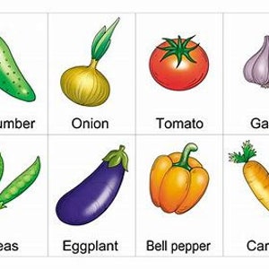 flashcard stampabili vegetariani