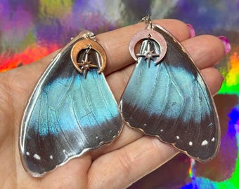 Real Blue Morpho Butterfly Wing Earrings