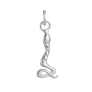 Puede incluir: Un colgante de metal plateado brillante con forma de serpiente esbelta y erguida. La serpiente presenta una superficie lisa y reflectante con sutiles detalles grabados a lo largo del cuerpo y la cabeza, terminando en una cola enroscada y una anilla.