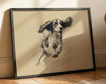 Vintage Springer Spaniel Sketch, Joyful Dog Art, English Spaniel Print