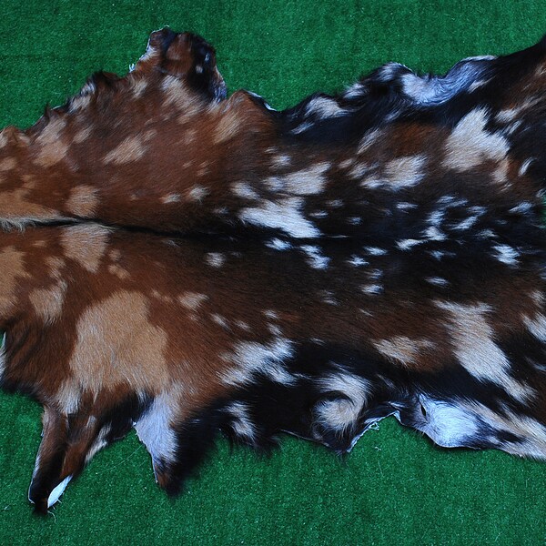 New Goat hide Rug Hair on Area Rug Size 32"x22" Animal Leather Goat Skin A-3487