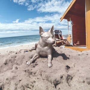 Puede incluir: Una estatua de perro de color plateado tumbada en una playa de arena frente a una casa de playa de madera.