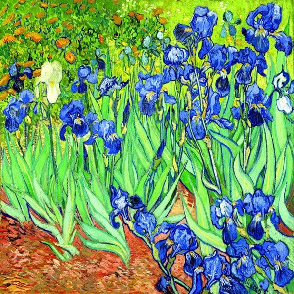 Vincent Van Gogh Irises (1889) Reproduction canvas print Irises Print Large print canvas Abstract Art Modern wall art Flowers decor art