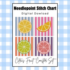 Könnte beinhalten: Eine digitale Stickvorlage für Needlepoint mit vier Zitrusfrucht-Motiven auf gestreiften Hintergründen. Die Grafiken zeigen eine gelbe Zitrone, eine Orangenscheibe, eine grüne Limette und eine rosa Grapefruit. Text Needlepoint Stitch Chart.