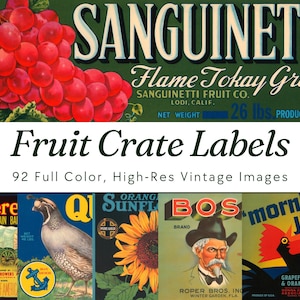 May include: A collection of vintage fruit crate labels. The top label features a bunch of red grapes and the text "Sanguinetti Flame Tokay Grapes." Below, the text reads "Fruit Crate Labels" and "92 Full Color, High-Res Vintage Images."