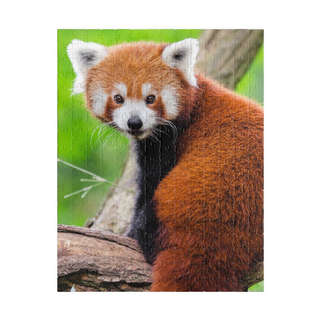 Schattige rode Panda puzzel - Aziatische beer dierenliefhebbers cadeau -  Bedreigde Panda's dieren puzzels - Kies 110, 252, 500 of 1014 stukjes -  Etsy België, image size:1080x1080