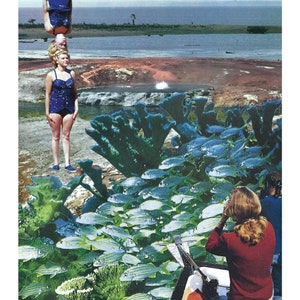 Collage Art Print, 8&quot; x 10&quot; – &quot;Seaside Spectacle&quot;