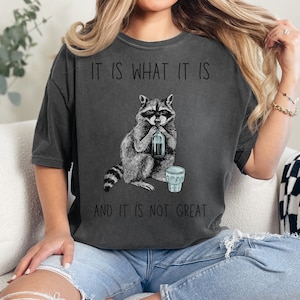 It is What It Is and It is Not Great, PNG t-shirt Dumpster Fire raccoon Funny Raccoon shirt, mood gifts, sarcasm quotes, monochrome