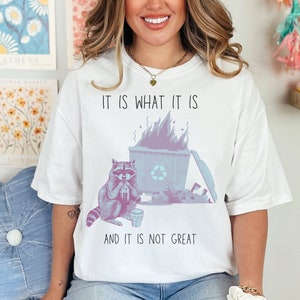 It is What It Is and It is not Great t-shirt, png, Dumpster Fire raccoon Funny Raccoon shirt, mood gifts, sarcasm quotes , digital download