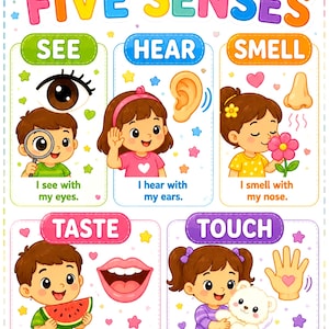 May include: An educational poster titled MY FIVE SENSES featuring colourful illustrations of children. It depicts five sections: SEE with an eye, HEAR with an ear, SMELL with a nose, TASTE with a mouth, and TOUCH with a hand, each with descriptive text.