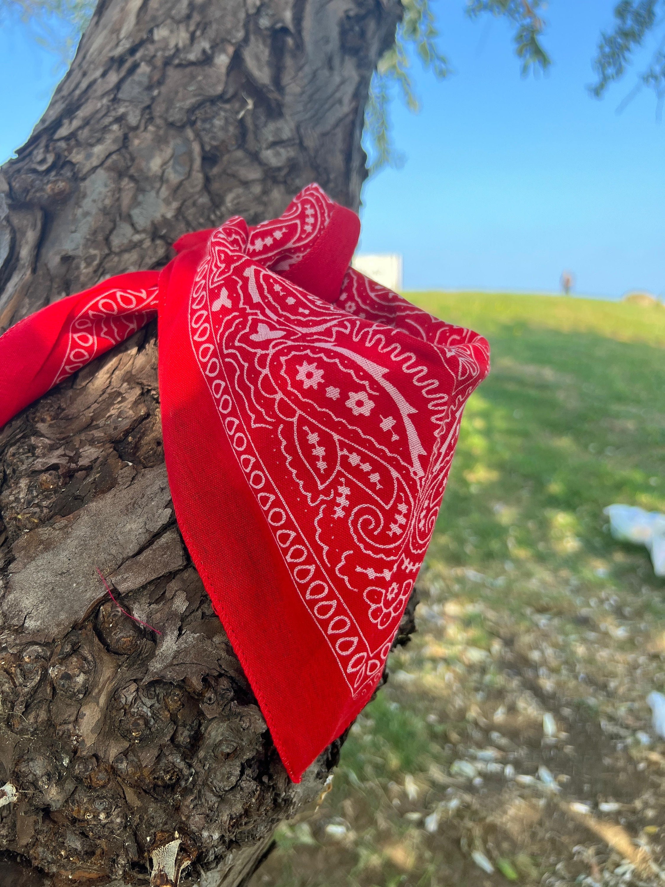 Cotton Paisley Bandana: Red Scarf, Headband & Face Cover - Etsy Cotton Paisley Bandana: Red Scarf, Headband & Face Cover - Etsy