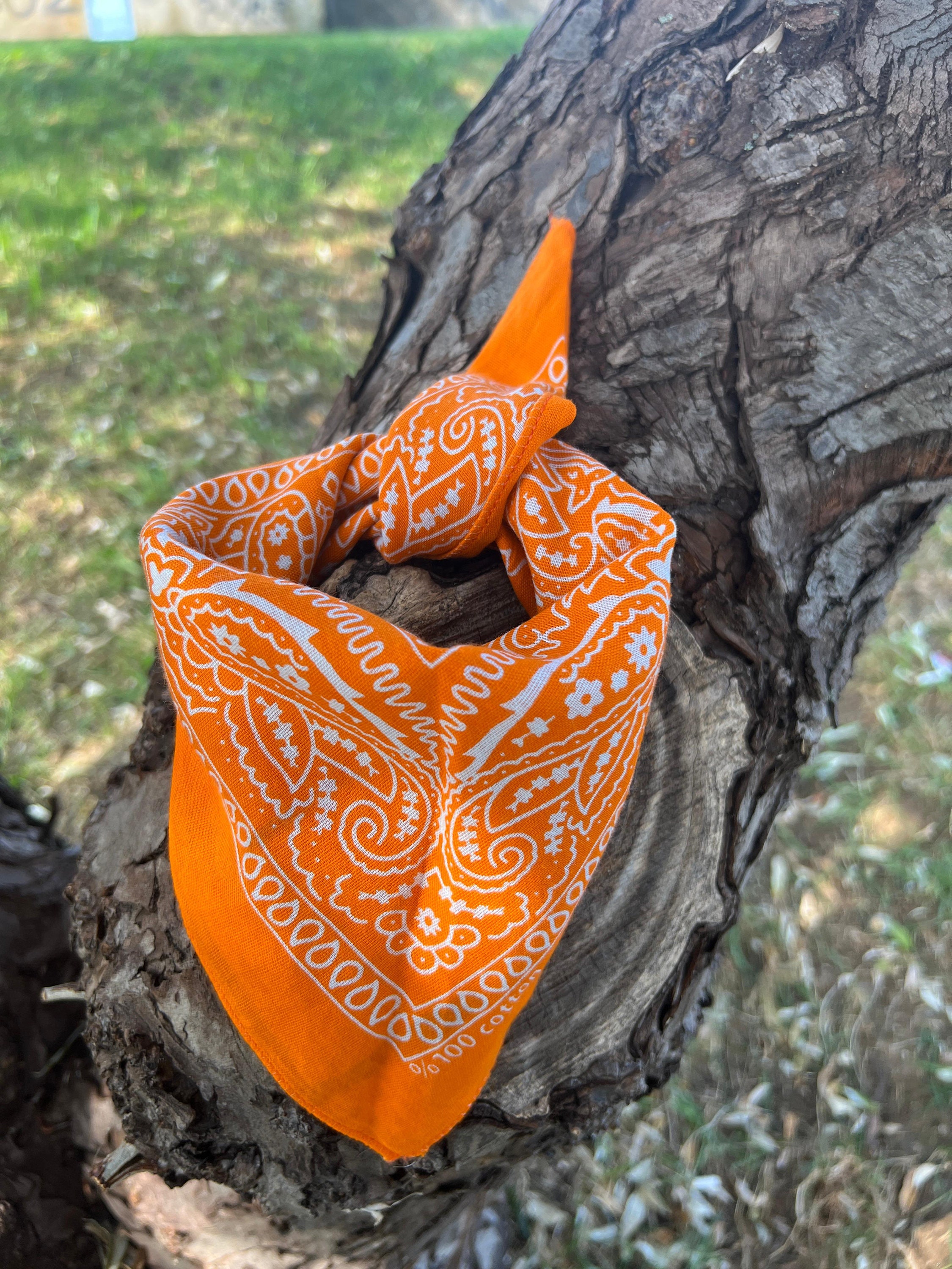 小物 atlast&co BANDANA ORANGE Orange Paisley Cotton Bandana Hair Band, Face Covering Neck Scarf